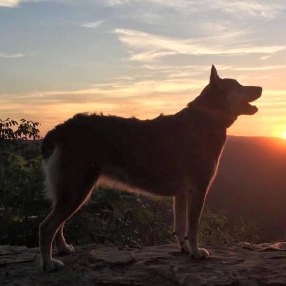 Meet your Posher, Mandy